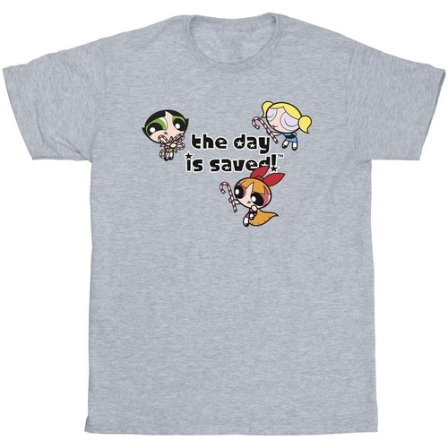 Abbigliamento Bambina T-shirts a maniche lunghe The Powerpuff Girls The Day Is Saved Grigio