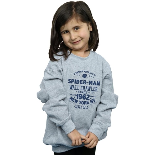 Abbigliamento Bambina Felpe Marvel Spider-Man Finest Quality Grigio