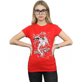 Abbigliamento Donna T-shirts a maniche lunghe Marvel Spider-Man Web Crawler Rosso
