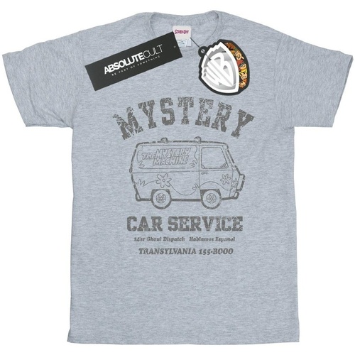 Abbigliamento Bambina T-shirts a maniche lunghe Scooby Doo Mystery Car Service Grigio