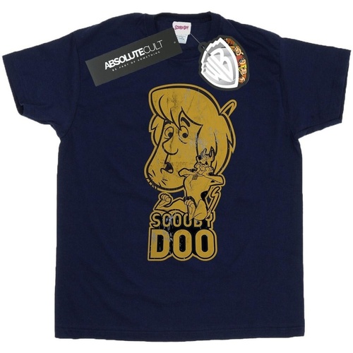 Abbigliamento Bambina T-shirts a maniche lunghe Scooby Doo And Shaggy Blu