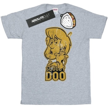 Abbigliamento Bambina T-shirts a maniche lunghe Scooby Doo And Shaggy Grigio