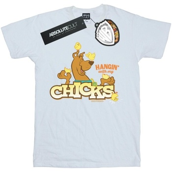 Abbigliamento Bambina T-shirts a maniche lunghe Scooby Doo Hangin With My Chicks Bianco