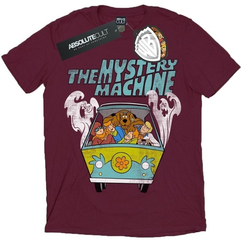 Abbigliamento Bambina T-shirts a maniche lunghe Scooby Doo Mystery Machine Multicolore