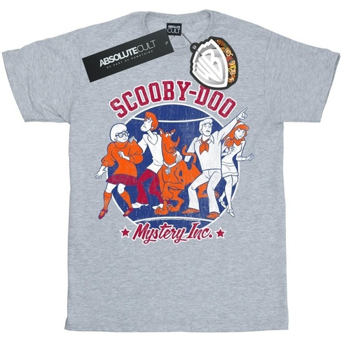 Abbigliamento Bambina T-shirts a maniche lunghe Scooby Doo Collegiate Circle Grigio
