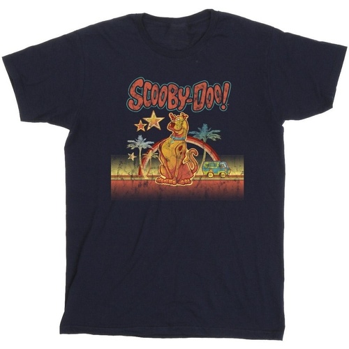Abbigliamento Bambina T-shirts a maniche lunghe Scooby Doo Palm Trees Blu