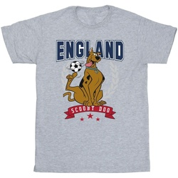 Abbigliamento Bambina T-shirts a maniche lunghe Scooby Doo England Football Grigio