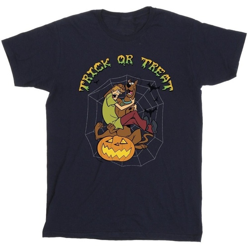 Abbigliamento Bambina T-shirts a maniche lunghe Scooby Doo Trick Or Treat Blu