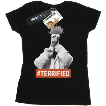 Abbigliamento Donna T-shirts a maniche lunghe Disney The Muppets Beaker Terrified Nero