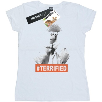 Abbigliamento Donna T-shirts a maniche lunghe Disney The Muppets Beaker Terrified Bianco