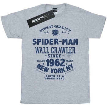 Abbigliamento Bambina T-shirts a maniche lunghe Marvel Spider-Man Finest Quality Grigio