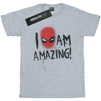Abbigliamento Bambina T-shirts a maniche lunghe Marvel Spider-Man I Am Amazing Grigio