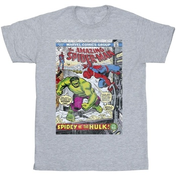 Abbigliamento Bambina T-shirts a maniche lunghe Marvel Spider-Man VS Hulk Cover Grigio