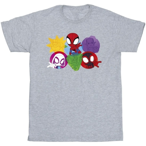 Abbigliamento Bambina T-shirts a maniche lunghe Marvel Spidey And His Amazing Friends Faces Grigio