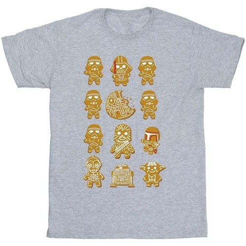 Abbigliamento Bambino T-shirt maniche corte Disney Episode IV: A New Hope 32 Gingerbread Grigio
