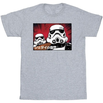 Abbigliamento Bambino T-shirt maniche corte Disney Stormtrooper Japanese Grigio