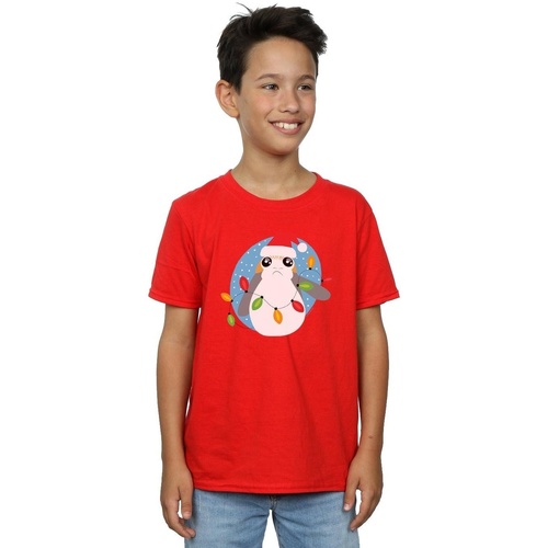 Abbigliamento Bambino T-shirt maniche corte Disney The Last Jedi Porg Christmas Lights Rosso