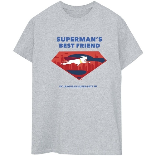 Abbigliamento Donna T-shirts a maniche lunghe Dc Comics DC League Of Super-Pets Superman's Best Friend Grigio