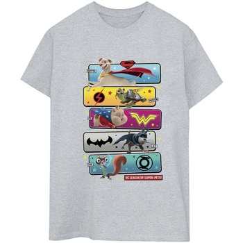 Abbigliamento Donna T-shirts a maniche lunghe Dc Comics DC League Of Super-Pets Character Pose Grigio
