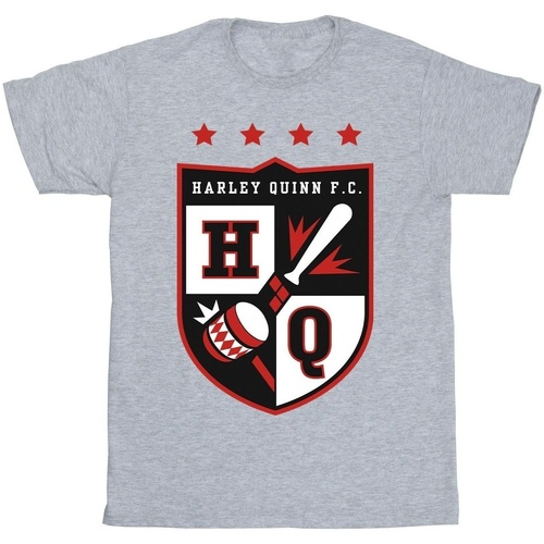 Abbigliamento Bambino T-shirt maniche corte Justice League Harley Quinn FC Pocket Grigio