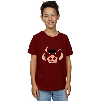 Abbigliamento Bambino T-shirt & Polo Disney Lion King Pumba Face Viola