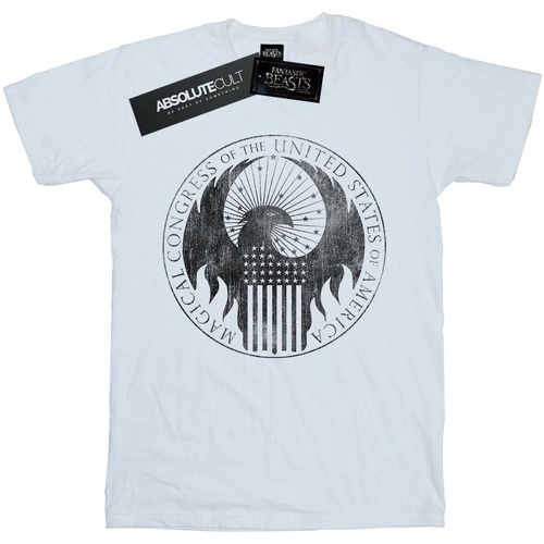 Abbigliamento Donna T-shirts a maniche lunghe Fantastic Beasts Distressed Magical Congress Bianco