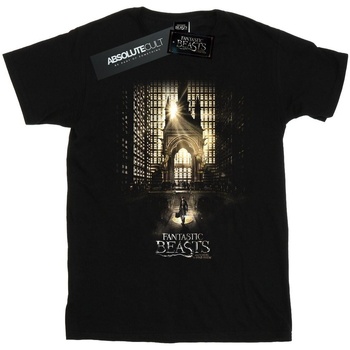 Abbigliamento Donna T-shirts a maniche lunghe Fantastic Beasts Movie Poster Nero