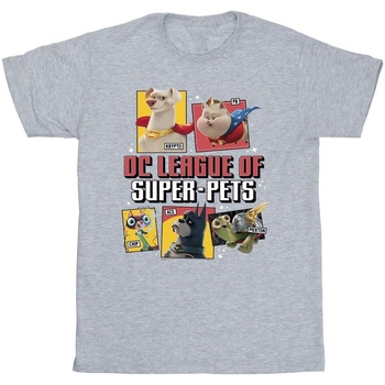 Abbigliamento Uomo T-shirts a maniche lunghe Dc Comics DC League Of Super-Pets Profile Grigio
