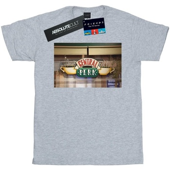 Abbigliamento Donna T-shirts a maniche lunghe Friends Central Perk Photo Grigio