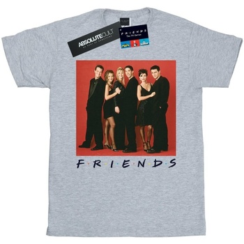 Abbigliamento Donna T-shirts a maniche lunghe Friends Group Photo Formal Grigio
