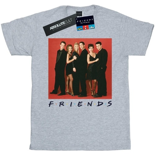 Abbigliamento Donna T-shirts a maniche lunghe Friends Group Photo Formal Grigio