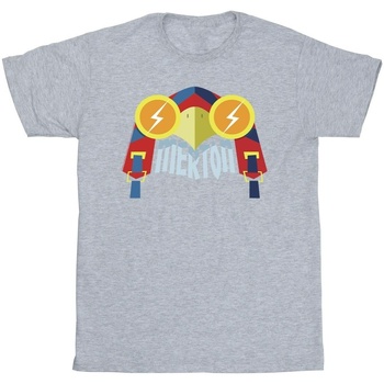 Abbigliamento Uomo T-shirts a maniche lunghe Dc Comics DC League Of Super-Pets Merton Grigio