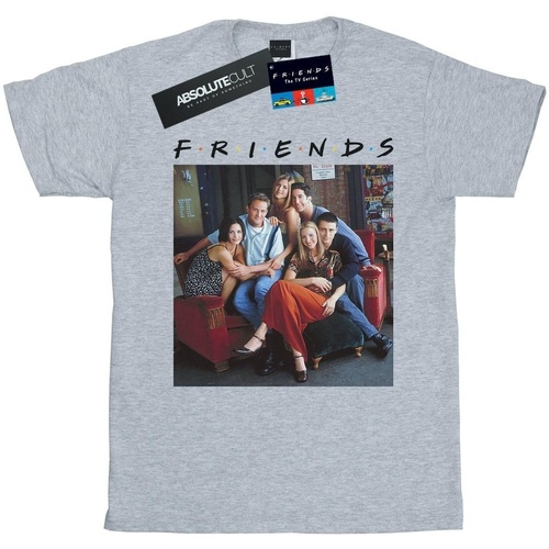 Abbigliamento Donna T-shirts a maniche lunghe Friends Group Photo Couch Grigio