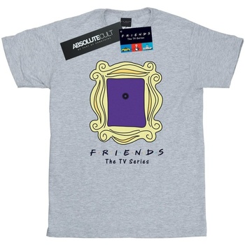Abbigliamento Donna T-shirts a maniche lunghe Friends Door Peephole Grigio