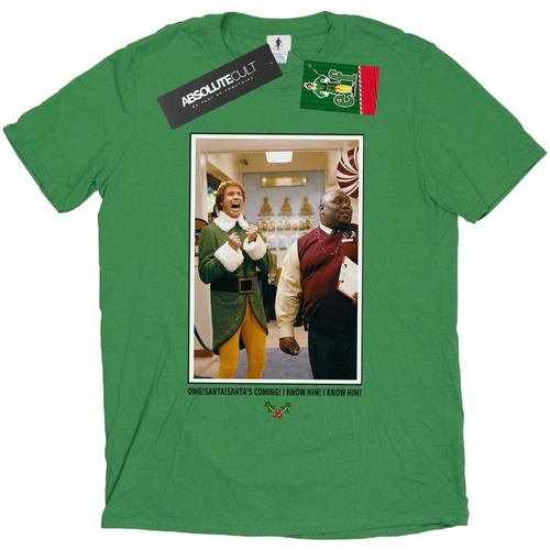 Abbigliamento Uomo T-shirts a maniche lunghe Elf OMG Santa Photo Verde