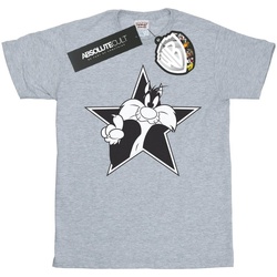 Abbigliamento Bambina T-shirts a maniche lunghe Dessins Animés Sylvester Mono Star Grigio