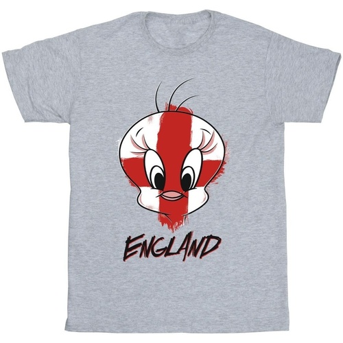 Abbigliamento Bambino T-shirt maniche corte Dessins Animés Tweety England Face Grigio