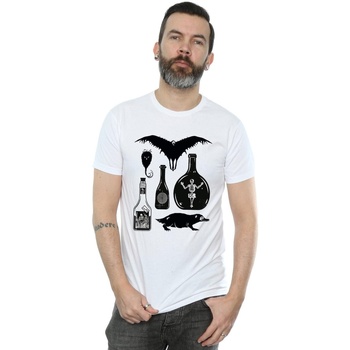 Abbigliamento Uomo T-shirts a maniche lunghe Fantastic Beasts Plain Icons Bianco