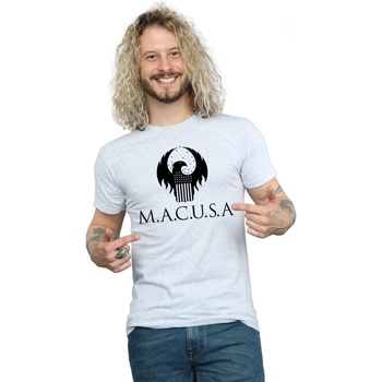 Abbigliamento Uomo T-shirts a maniche lunghe Fantastic Beasts MACUSA Logo Grigio