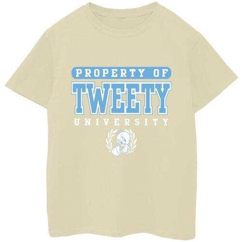 Abbigliamento Bambina T-shirts a maniche lunghe Dessins Animés Tweety Property Of University Beige