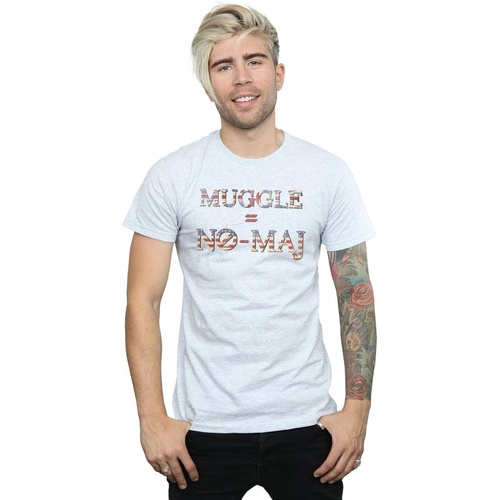 Abbigliamento Uomo T-shirts a maniche lunghe Fantastic Beasts No Muggle No Maj Grigio