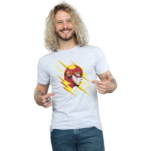 Abbigliamento Uomo T-shirts a maniche lunghe Dc Comics The Flash Lightning Portrait Grigio