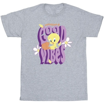 Abbigliamento Bambina T-shirts a maniche lunghe Dessins Animés Tweeday Sunshine & Good Vibes Grigio