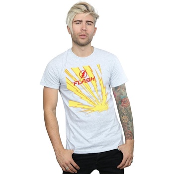 Abbigliamento Uomo T-shirts a maniche lunghe Dc Comics The Flash Lightning Bolts Grigio