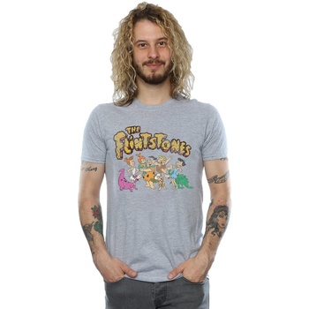 Abbigliamento Uomo T-shirts a maniche lunghe The Flintstones Group Distressed Grigio