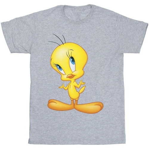 Abbigliamento Bambina T-shirts a maniche lunghe Dessins Animés Tweety Standing Grigio