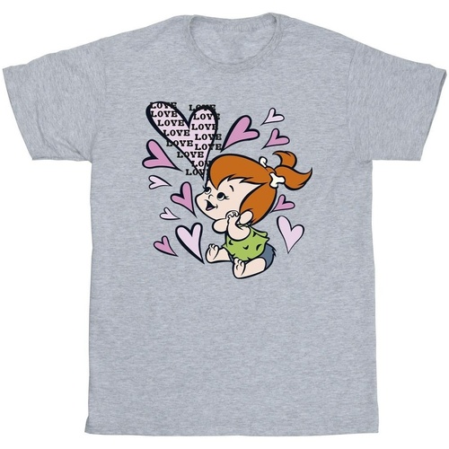 Abbigliamento Uomo T-shirts a maniche lunghe The Flintstones Pebbles Love Love Love Grigio