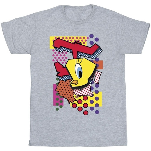Abbigliamento Bambina T-shirts a maniche lunghe Dessins Animés Tweety Pop Art Grigio