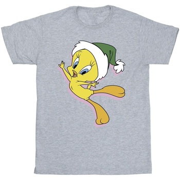 Abbigliamento Bambina T-shirts a maniche lunghe Dessins Animés Tweety Christmas Hat Grigio