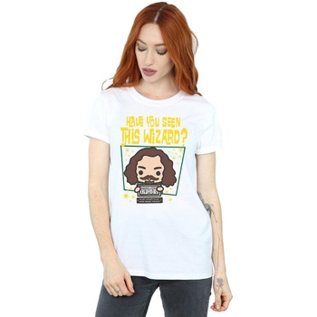 Abbigliamento Donna T-shirts a maniche lunghe Harry Potter Sirius Black Azkaban Junior Bianco